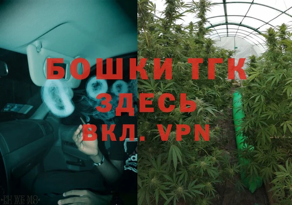индика Арсеньев