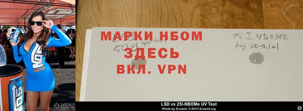 индика Арсеньев