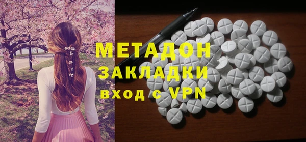 индика Арсеньев