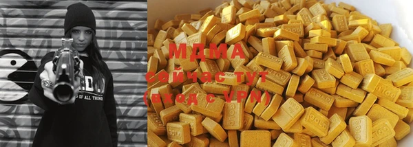 индика Арсеньев