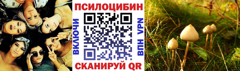 дарк нет официальный сайт Первомайск Галлюциногенные грибы Cubensis